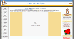 Desktop Screenshot of cavyspirit.com